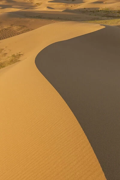 Sand Dunes at sunrise. Gobi desert. Mongolia