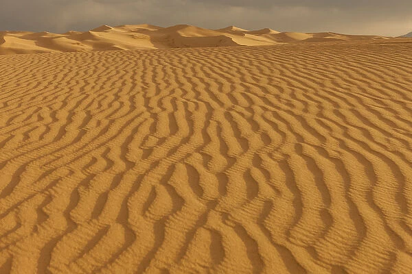 Sand Dunes at Sunset. Gobi Desert. Mongolia