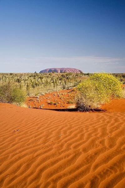 Sand Dunes, Uluru - Kata Tjuta National Park, World Heritage Area, Northern Territory