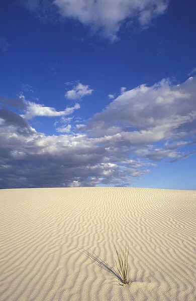 Sand dunes at White Sands National Monument, New Mexico