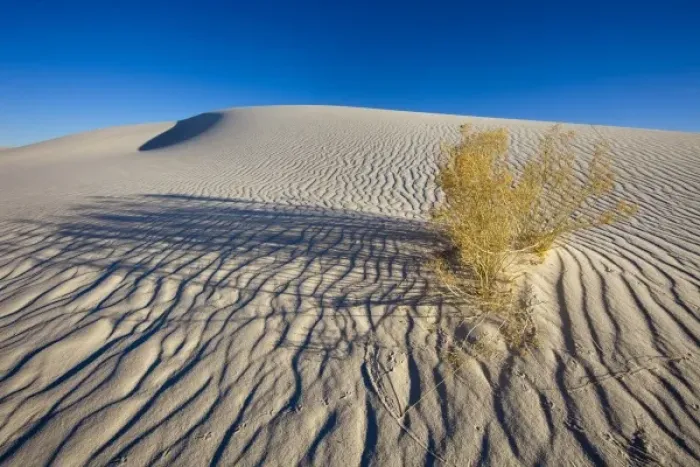 Framed Print : Sand dunes at White Sands National Monument in New Mexico Framed Print : Sand dunes at White Sands National Monument in New Mexico