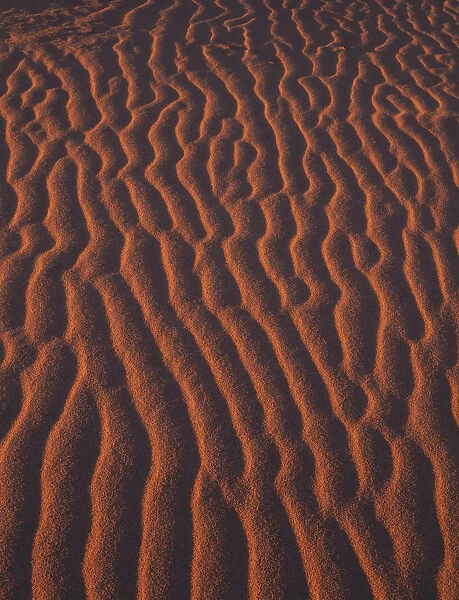 Sand Patterns near Hermanus Beach, South Africa
