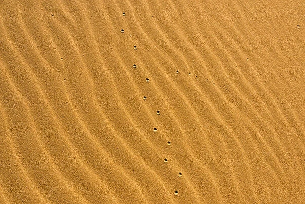 Sand patterns of the Singing Dunes, the only sand dune in Kazakhstan