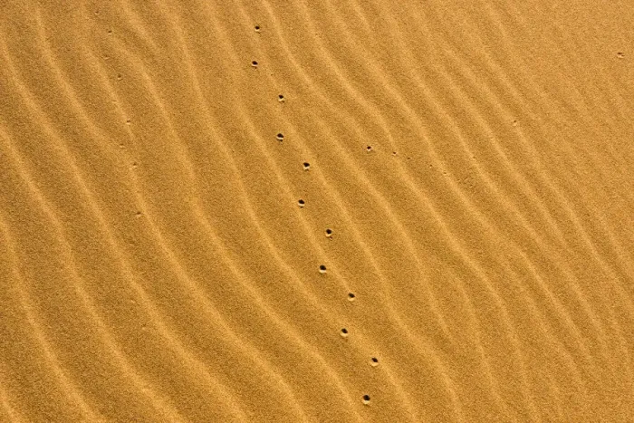 Framed Print : Sand patterns of the Singing Dunes, the only sand dune in Kazakhstan Framed Print : Sand patterns of the Singing Dunes, the only sand dune in Kazakhstan