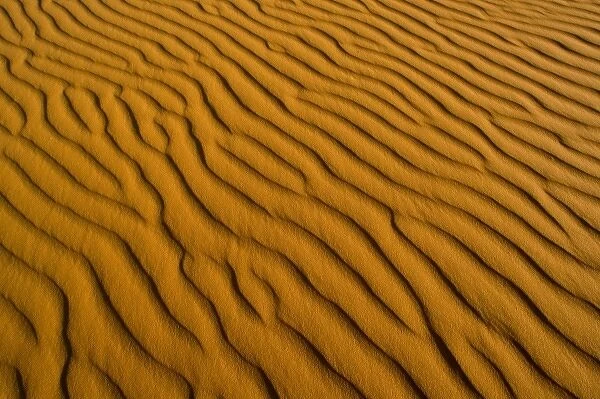 Sand ripples and dunes at Coral Pink Sand Dunes State Park in Utah