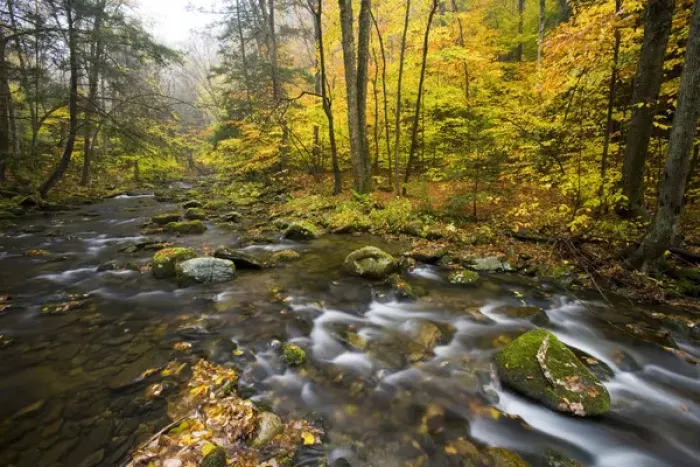 Framed Print : Sanderson Brook. Chester-Blanford State Forest. Connecticut River tributary. Chester