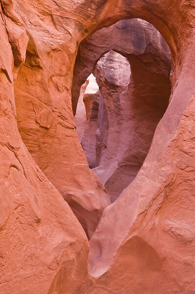 Sandstone formations in Peek-a-boo Gulch, Grand Staircase-Escalante National Monument