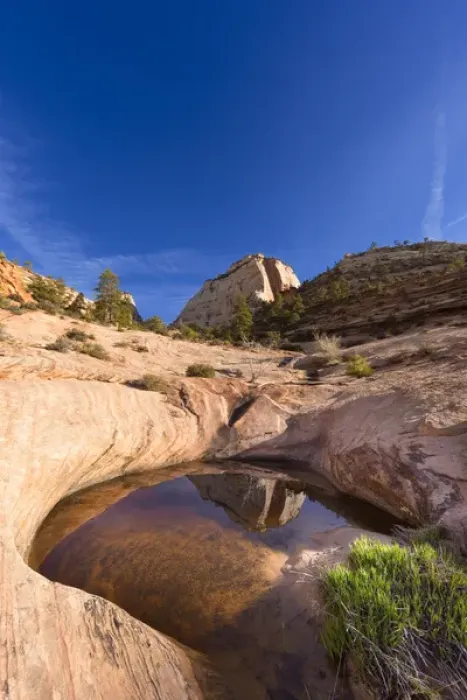 Framed Print : Sandstone monument reflects in pool of water in Zion National Park, Utah, USA