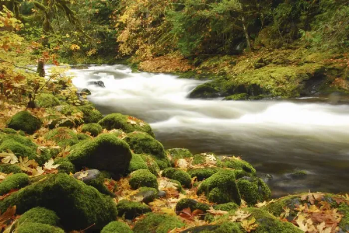 Framed Print : Sandy River in Autumn, Welches, Oregon, USA