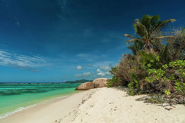 A sandy tropical beach with palm trees and large boulders on the Indian Ocean. Anse Source d Argent Beach, La Digue Island, Seychelles