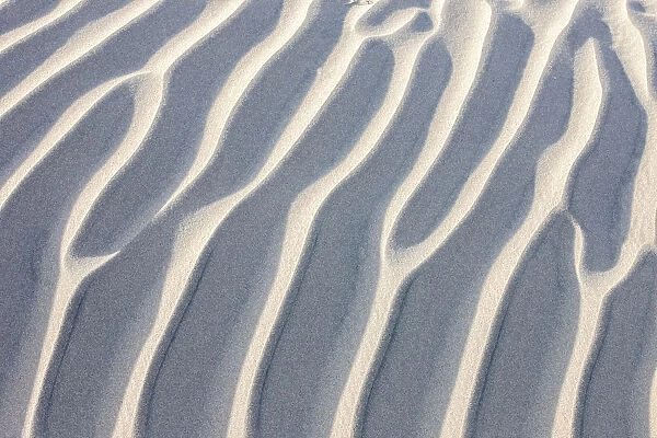 Sandy Waves. Mesquite Sand Dunes. Death Valley. California