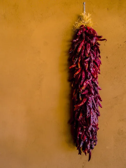 Framed Print : Santa Fe, New Mexico. The Long, Dried, Group of Red Chili Peppers and a Terra Cotta wall Framed Print : Santa Fe, New Mexico. The Long, Dried, Group of Red Chili Peppers and a Terra Cotta wall
