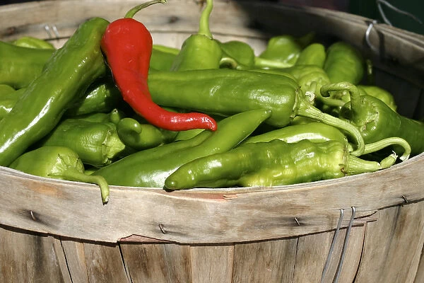 Santa Fe, New Mexico, United States. Red and green chile are the main regional dish