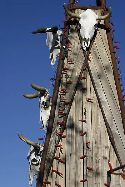 Santa Fe, New Mexico, United States. Cowskulls and chile Christmas lights