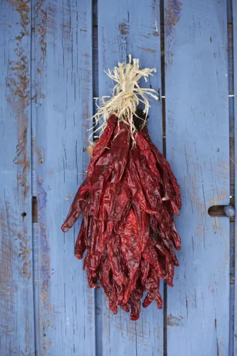Framed Print : Santa Fe, New Mexico, United States. Traditional chili ristra hangs on door