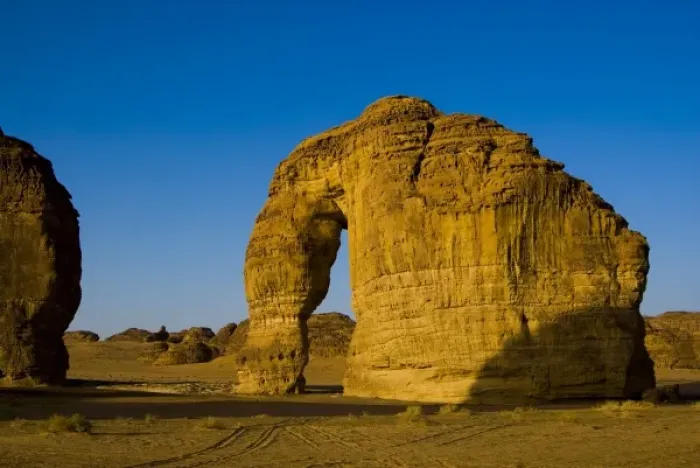 Framed Print : Saudi Arabia, Al Ula, elephant rock in the desert near the oasis