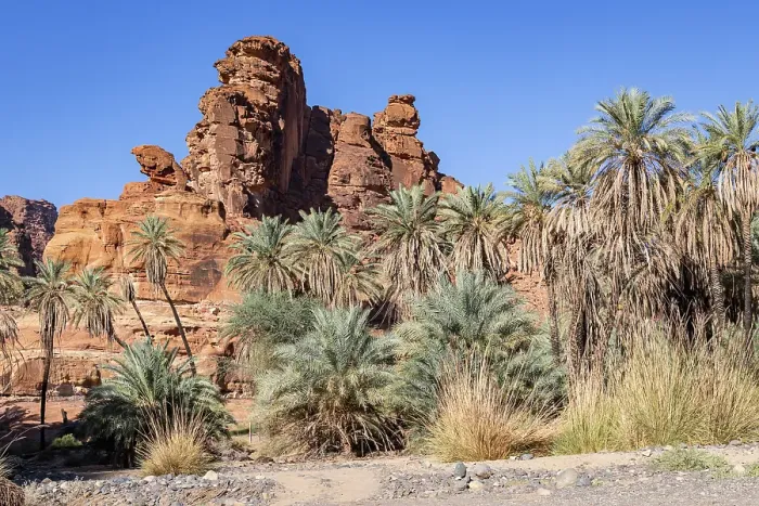 Framed Print : Saudi Arabia, Tabuk, Prince Mohammed bin Salman Natural Reserve. Wadi Al Disah, known as the Grand Canyon of Saudi Arabia and the Valley of the Palms