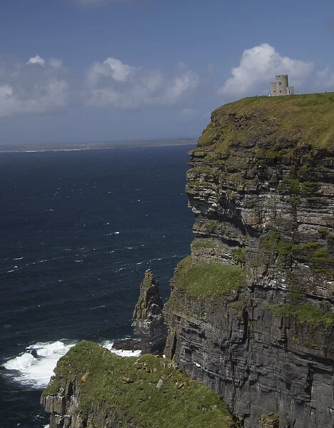 Scenic Cliffs of Moher and O Briens Tower under a blue sky and white puffy