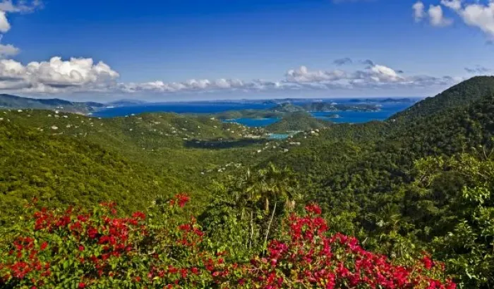 Framed Print : A scenic of Cruse Bay, St. John U.s Virgin Islands Framed Print : A scenic of Cruse Bay, St. John U.s Virgin Islands