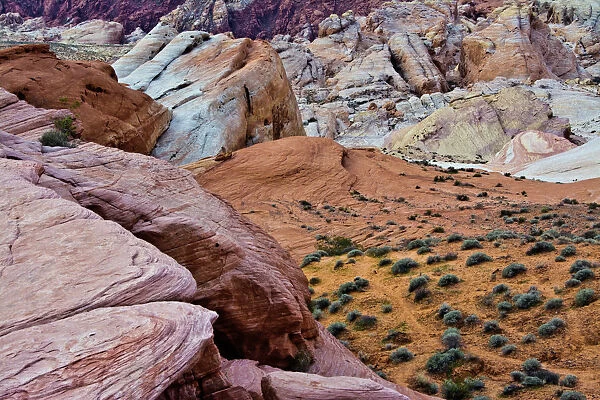 Scenic Drive White Domes Trail, Valley of Fire State Park, Nevada, USA
