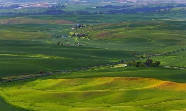 A scenic fiew of the Palouse countryside from Steptoe Bute in Washington State