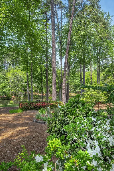 scenic garden, Pinehurst, North Carolina