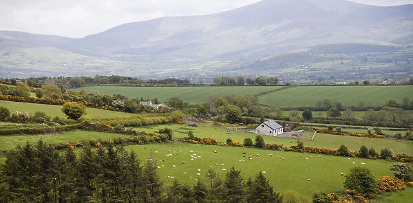 A scenic landscape of the Dingle Penninsula in Western Ireland with an old farm house