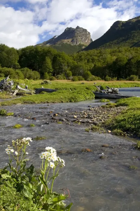 Framed Print : Scenic nature in the Tierra del Fuego National Park, Argentina