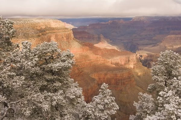 Scenic snowy winter landscape along the south rim of the majestic Grand Canyon, Grand
