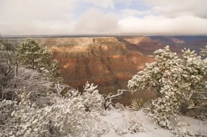 Framed Print : Scenic snowy winter landscape along the south rim of the majestic Grand Canyon, Grand Framed Print : Scenic snowy winter landscape along the south rim of the majestic Grand Canyon, Grand