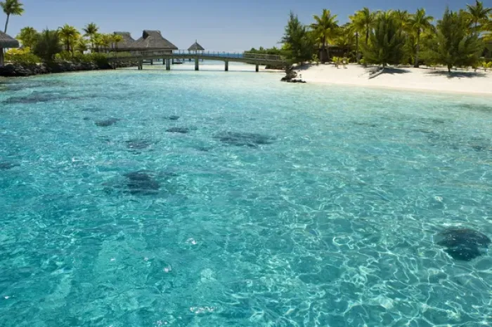 Framed Print : Scenics and grounds of beautiful resort in Bora Bora