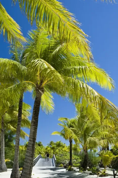 Framed Print : Scenics and grounds of beautiful resort in Bora Bora