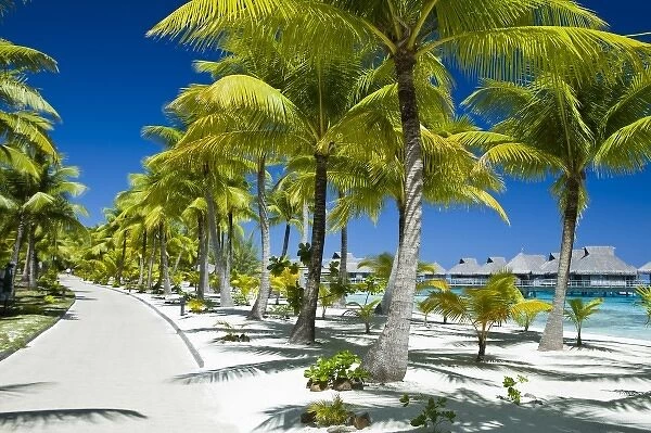 Scenics and grounds of beautiful resort in Bora Bora