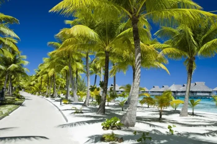 Framed Print : Scenics and grounds of beautiful resort in Bora Bora Framed Print : Scenics and grounds of beautiful resort in Bora Bora