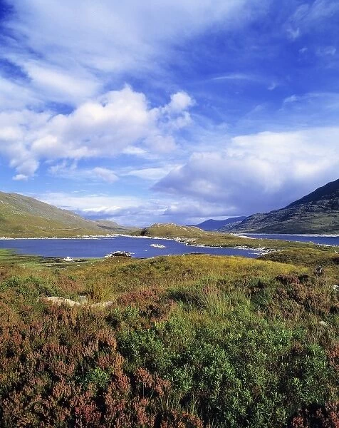 Scotland, Highland, Wester Ross, Loch Cluanie. Heather surrounds Loch Cluanie in