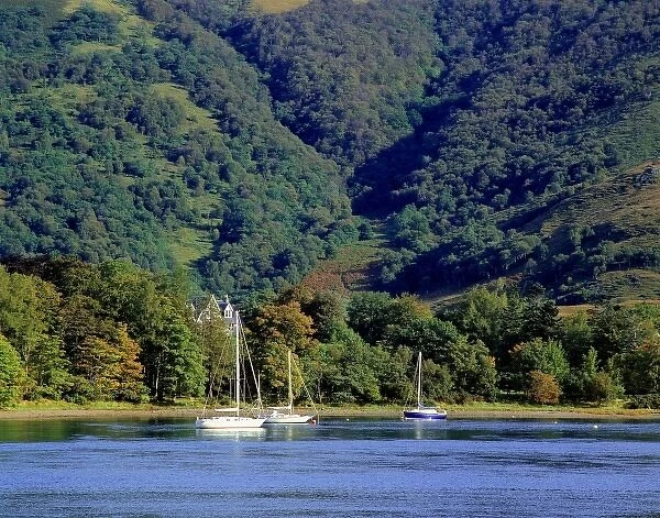 Scotland, Highland, Wester Ross, Onich. Sail boats are moored in Onich harbor