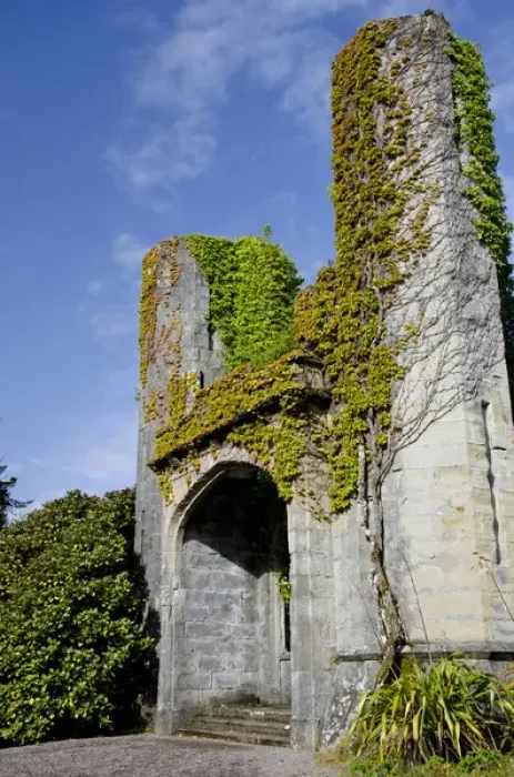 Framed Print : Scotland, Inner Hebrides, Isle of Skye, Armadale Castle & Gardens, ivy covered ruins Framed Print : Scotland, Inner Hebrides, Isle of Skye, Armadale Castle & Gardens, ivy covered ruins