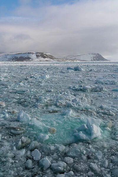 Sea ice in Wahlenbergfjorden fjord. Nordaustlandet, Svalbard, Norway
