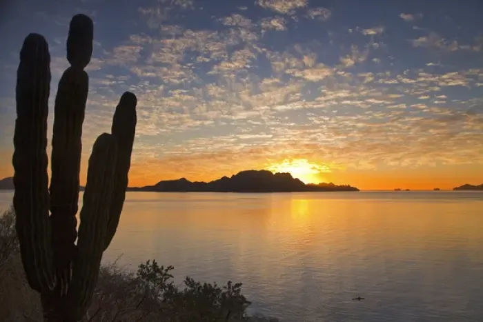 Framed Print : Sea kayaker on the Gulf of California at sunrise near Loreto Mexico Framed Print : Sea kayaker on the Gulf of California at sunrise near Loreto Mexico