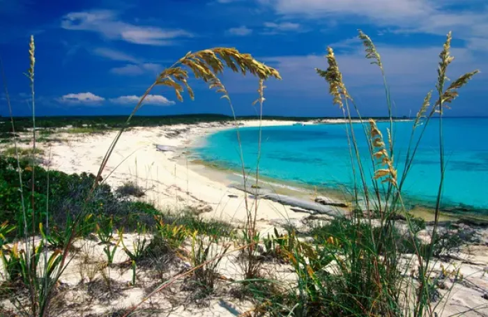 Framed Print : Sea oats on pristine beach, Long Island, Bahamas Framed Print : Sea oats on pristine beach, Long Island, Bahamas