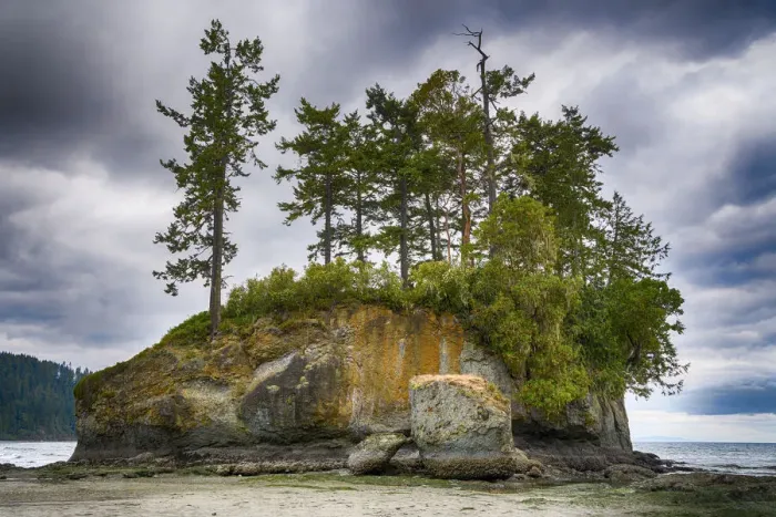 Framed Print : Sea Stack and Rocks, Salt Creek Recreation Area, Clallam County, Washington State Framed Print : Sea Stack and Rocks, Salt Creek Recreation Area, Clallam County, Washington State
