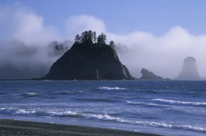 Framed Print : Sea stacks in fog, Rialto Beach, Olympic National Park, Washington
