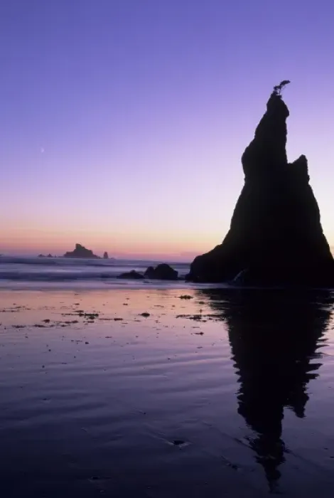 Framed Print : Sea stacks and reflections at sunset, Rialto Beach, Olympic National Park, Washington Framed Print : Sea stacks and reflections at sunset, Rialto Beach, Olympic National Park, Washington