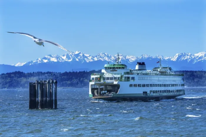 Framed Print : Seagull and Washington State Ferry, Olympic Mountains, Edmonds, Washington State Framed Print : Seagull and Washington State Ferry, Olympic Mountains, Edmonds, Washington State