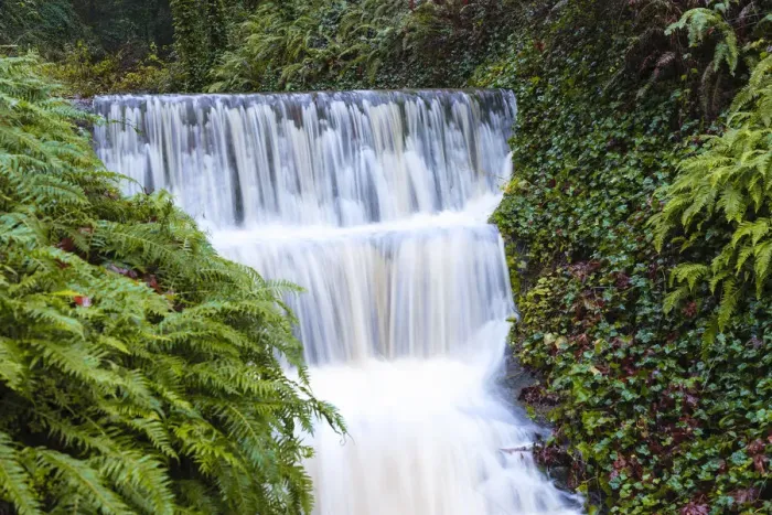 Framed Print : Seasonal creek on outskirts of Portland, Oregon, USA