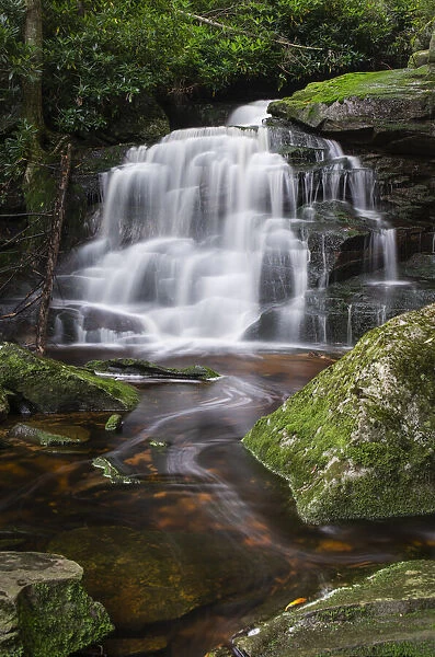 Second Ekalaka Falls, Blackwater Falls State Park, West Virginia