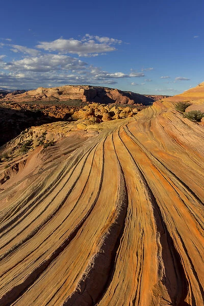 The Second Wave in the Vermillion Cliffs Wilderness, Arizona, USA