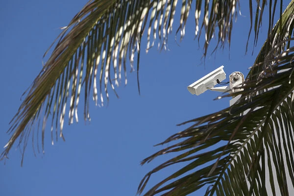 Security camera on rooftop with palm fronds in foreground