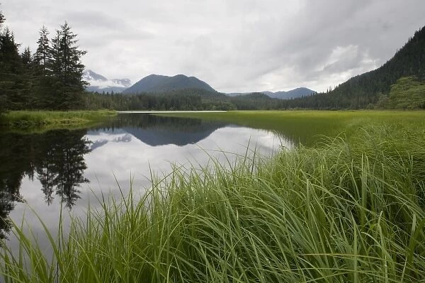 Sedge Grass Meadow, Pavlof Harbor, Chichagof Island, Alaska