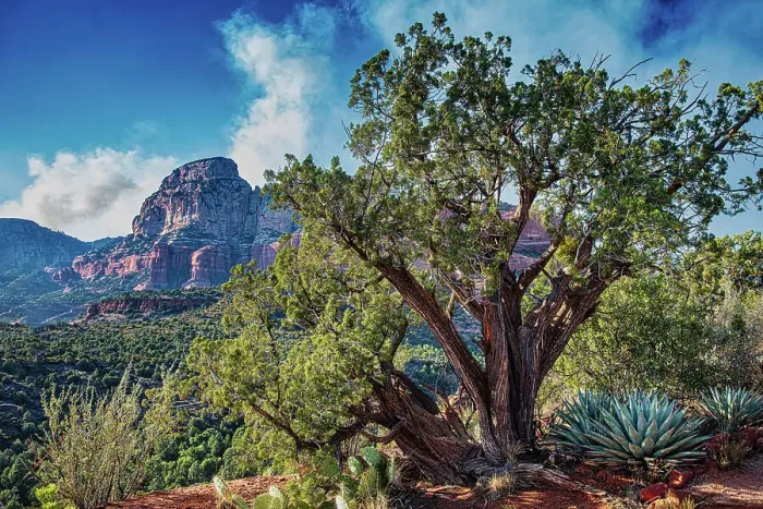Framed Print : Sedona Arizona area